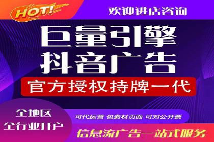某电商平台的SEM推广实践与效果展示