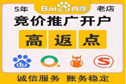 竞价排名成功案例分享